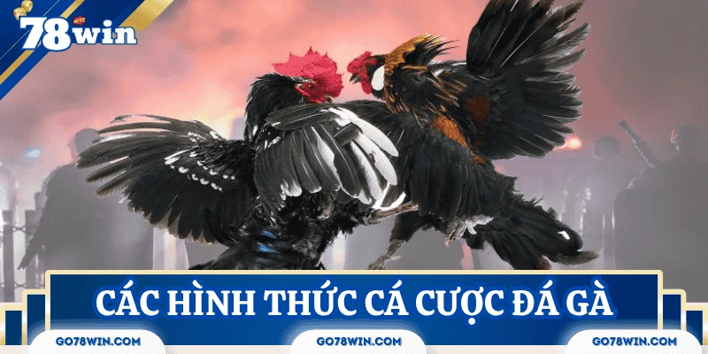cac-hinh-thuc-ca-cuoc-da-ga