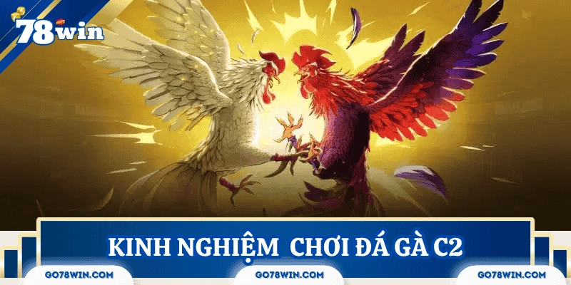 kinh-nghiem-choi-da-ga-c2