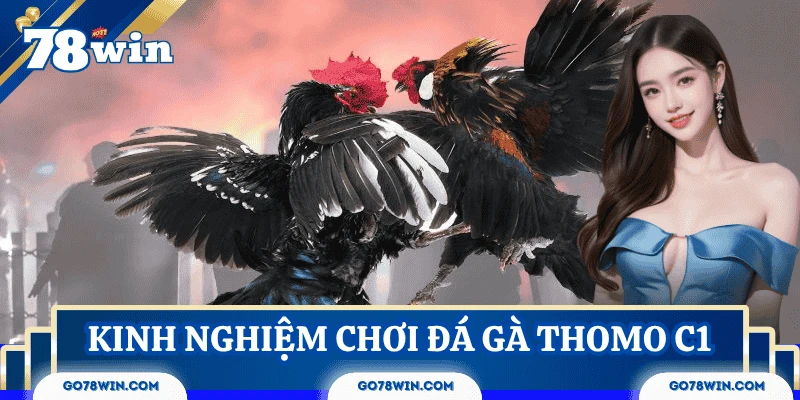 kinh-nghiem-choi-da-ga-thomo-c1
