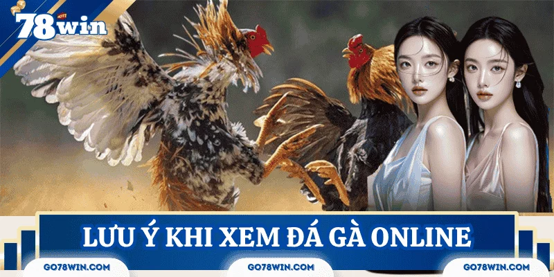 luu-y-xem-truc-tiep-da-ga