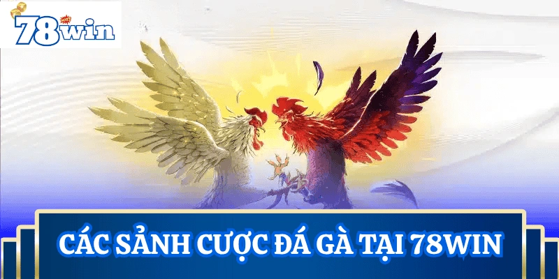 sanh-cuoc-da-ga-78Win
