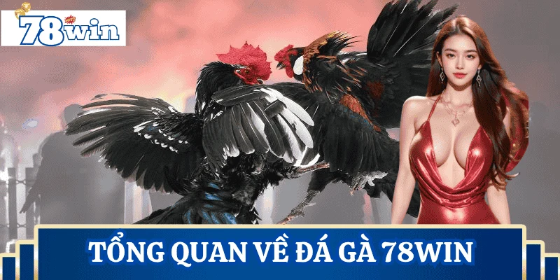 tong-quan-ve-da-ga-78Win